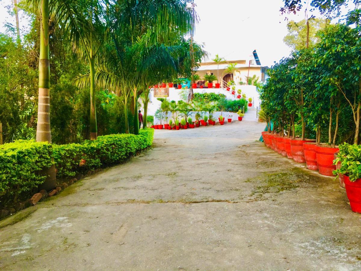 Rose Cottage - A Heritage Retreat Mount Abu Exterior photo